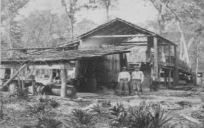 Photo of Orlando's major trades circa 1880